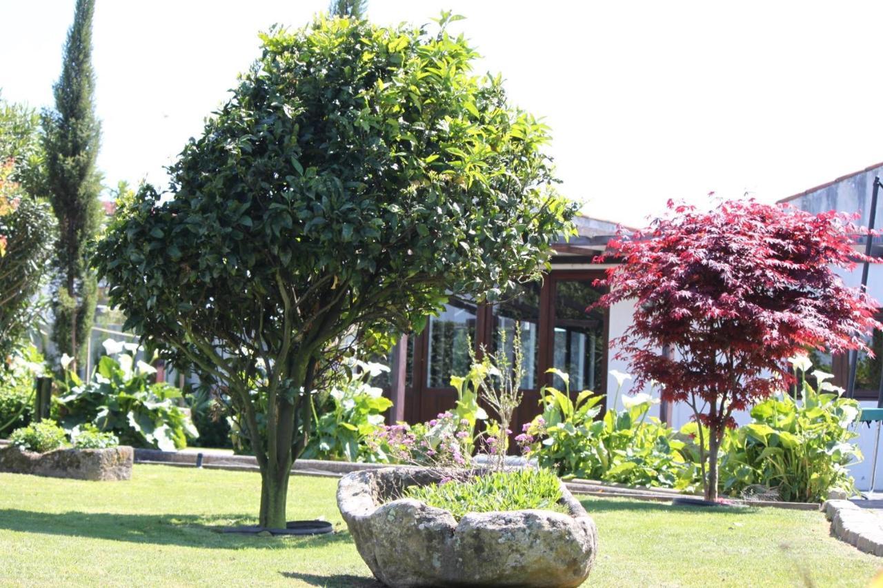 Casa Dos Meus Avos -villas - Gaia & Porto