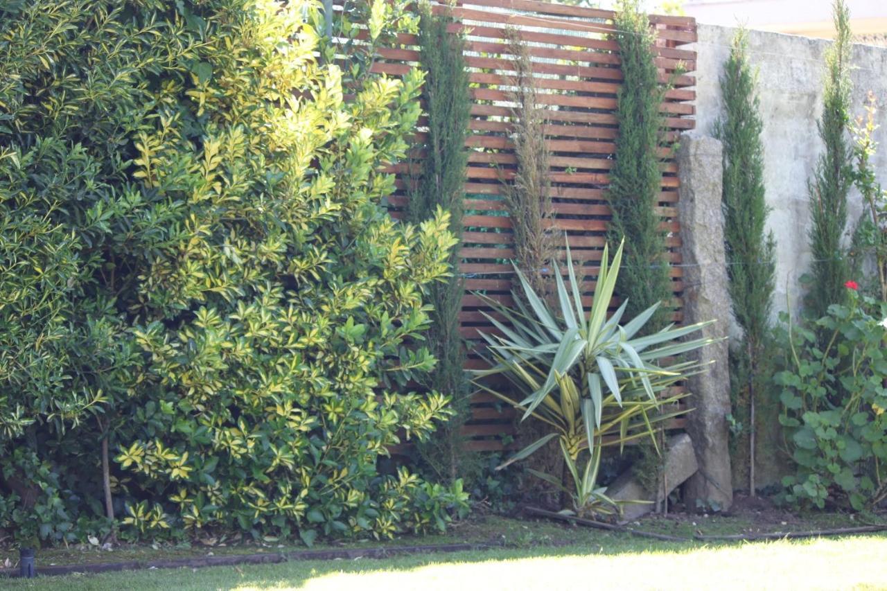 Casa Dos Meus Avos -villas - Gaia & Porto *